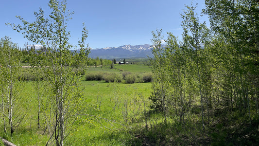 Fraser Loop