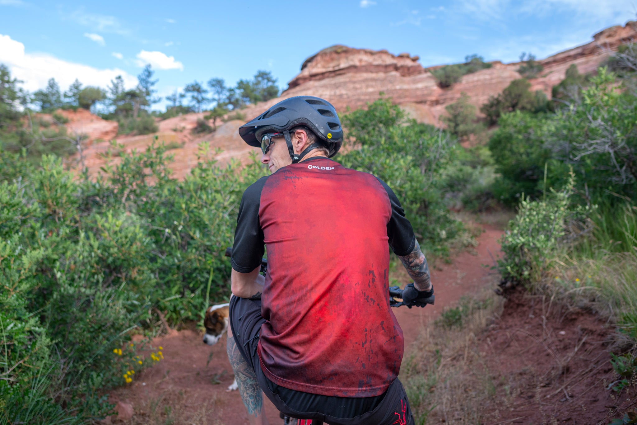 Dakota Ridge Mountain Bike Jersey - Back