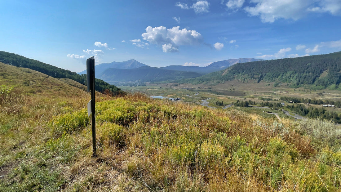 Lupine Trail